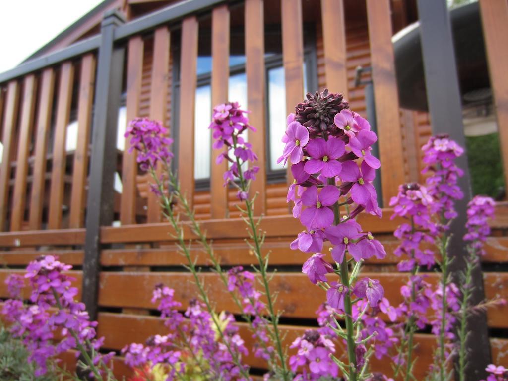 Inverbeg Holiday Park Luss Kamer foto